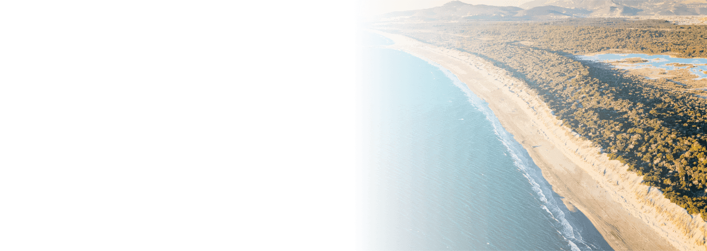 Patara sahili ve doğal yaşam alanı